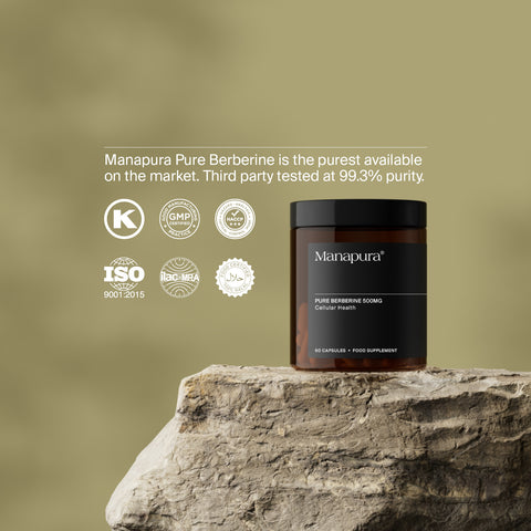 Pure Berberine by Manapura | The Best, Pure, Clinical-Grade Longevity & Nootropic Supplements | Free Shipping