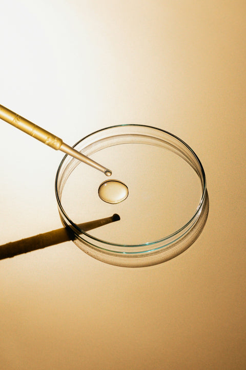 What is autophagy and why is it important?