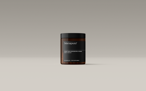 Longevity Essentials Bundle by Manapura | The Best, Pure, Clinical-Grade Longevity & Nootropic Supplements | Free Shipping